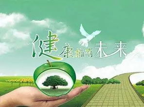 四所專插本學校新增木制品銷售本科專業，明年或將加入插本招生